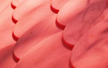 Tretio plastic roof costs