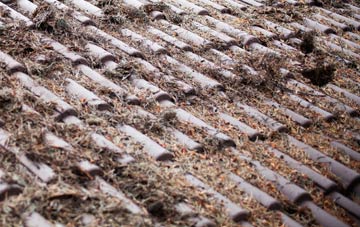 Tretio roof cleaning companies