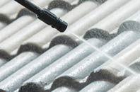 rated Tretio roof cleaning companies